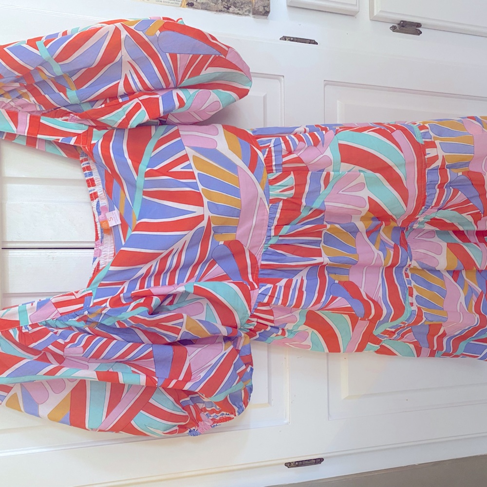 Boutique Britton Court dress size small